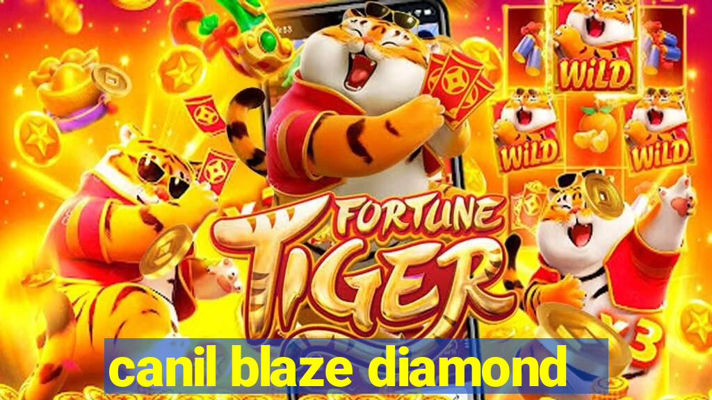 canil blaze diamond